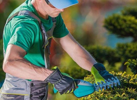 landscaping 3 e1696315466864